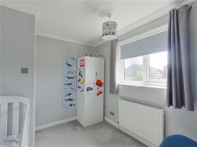 Picture 16